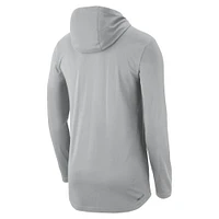 Men's Nike Gray UCLA Bruins Campus Performance Hoodie Long Sleeve T-Shirt