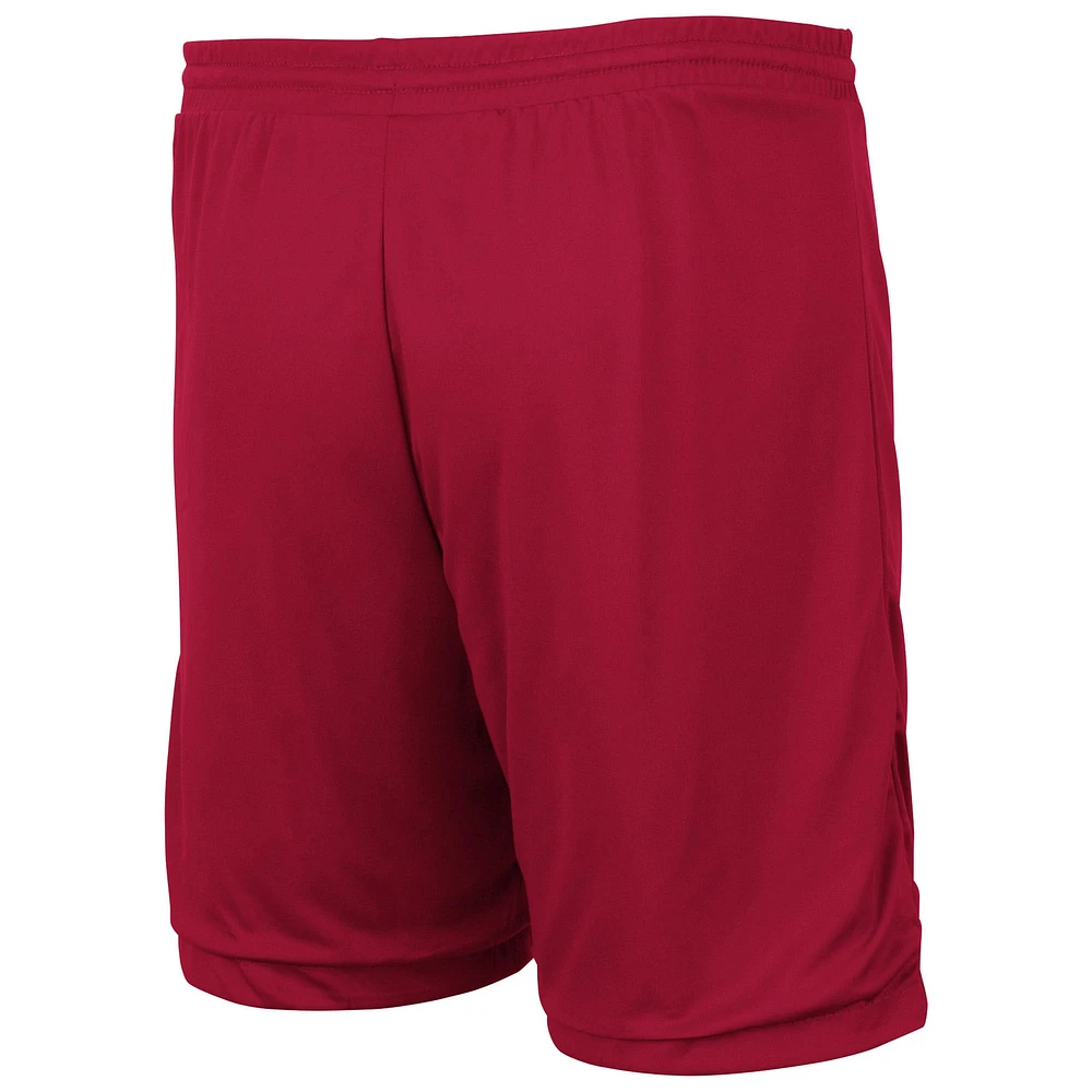 Men's Colosseum Cardinal/Gold USC Trojans Wiggum Reversible Wordmark Shorts