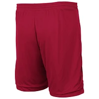 Men's Colosseum Cardinal/Gold USC Trojans Wiggum Reversible Wordmark Shorts