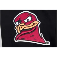 Sweat à capuche classique Pro Standard Virginia Tech Hokies pour homme, noir