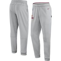 Men's Nike Gray Washington Commanders Sideline Logo Performance Pants