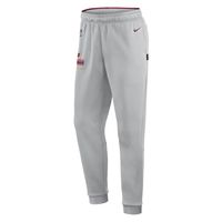 Men's Nike Gray Washington Commanders Sideline Logo Performance Pants