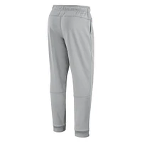 Pantalon Performance Nike Washington Commanders Sideline Logo pour Homme Gris