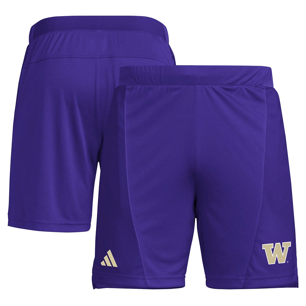 Men's adidas  Purple Washington Huskies Designed for Training 7" AEROREADY Shorts