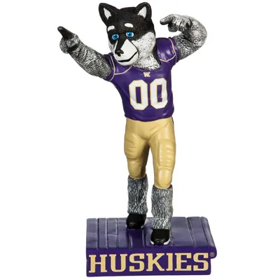 Washington Huskies Mascot Statue