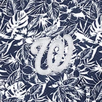 Men's Antigua Navy Washington Nationals Resort Button-Up Shirt
