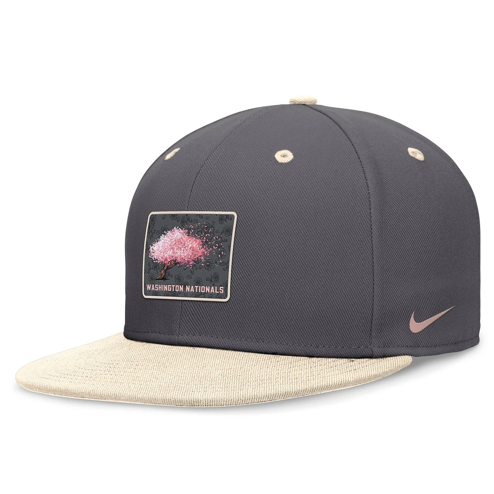 Casquette ajustée Nike Graphite/Naturel Washington Nationals City Connect True pour hommes