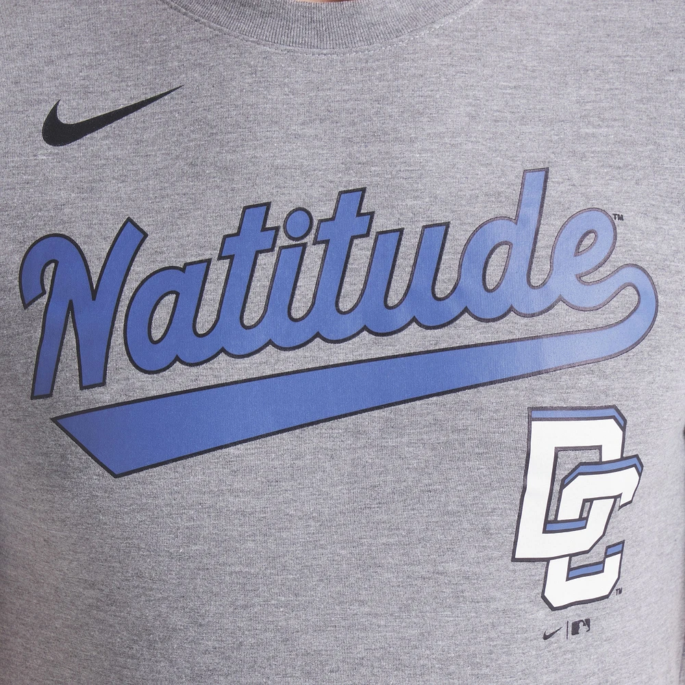 Men's Nike Heather Charcoal Washington Nationals 2025 City Connect Tri-Blend T-Shirt