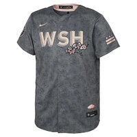 Toddler Nike Gray Washington Nationals City Connect Replica Jersey