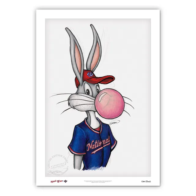 Lids Washington Nationals 14 x 20 Minimalist Screech Mascot Wall Art