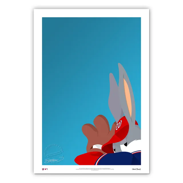 Lids Washington Nationals 14 x 20 Minimalist Screech Mascot Wall Art