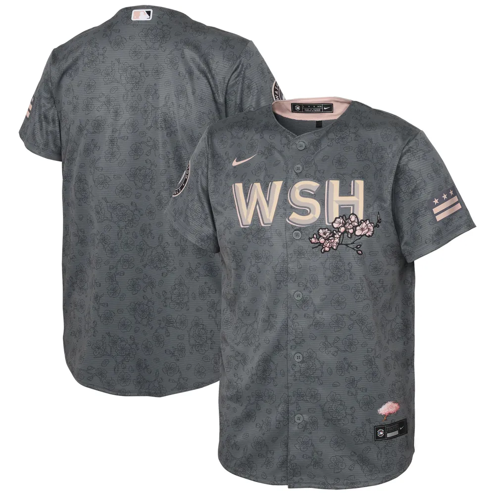 Lids Washington Nationals Nike Youth 2022 City Connect Replica Jersey -  Gray
