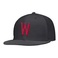 Casquette de baseball Nike anthracite Washington State Cougars pour homme