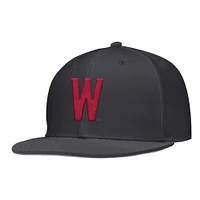 Casquette de baseball Nike anthracite Washington State Cougars pour homme