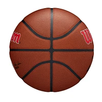 Washington Wizards Wilson NBA Team Alliance Basketball