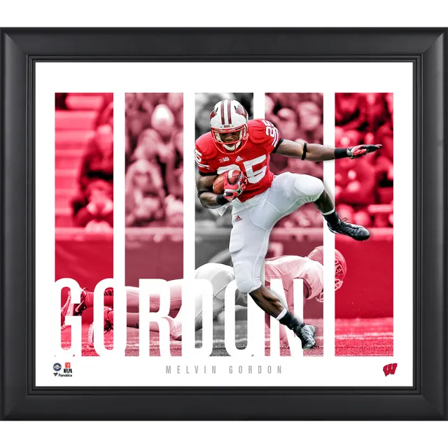 Fanatics Authentic Russell Wilson Wisconsin Badgers Framed 15'' x 17'' Player Panel Collage