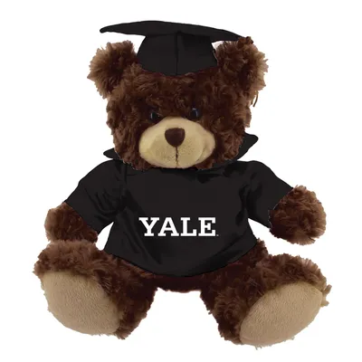 Yale Bulldogs 12'' Graduation Plush Bear - Black/Brown