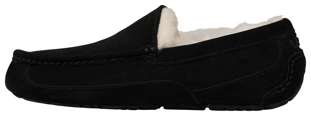 UGG Ascot - Pour hommes