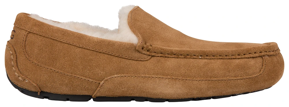 UGG Ascot  - Men's