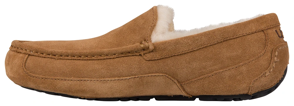 UGG Ascot  - Men's