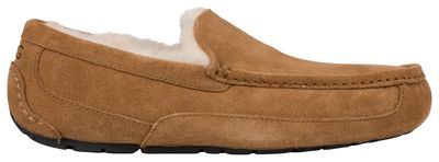 UGG Ascot - Pour hommes