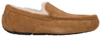 UGG Ascot  - Men's