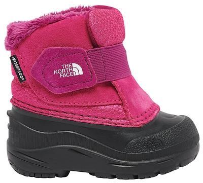The North Face Girls Alpenglow II - Girls' Toddler Shoes Pink/Black