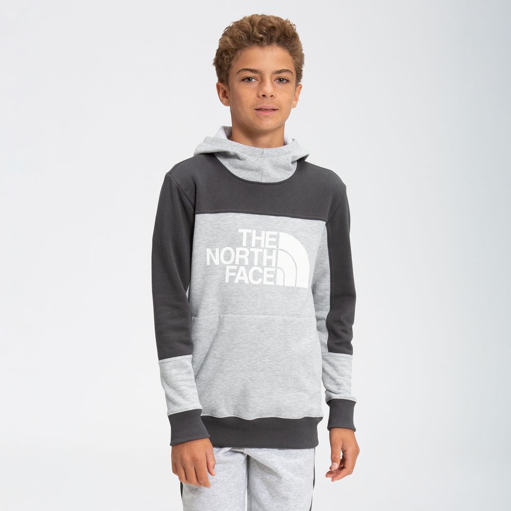 The North Face Colorblock Logo Hoodie 