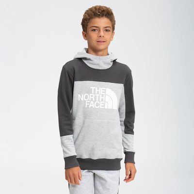 The North Face Colorblock Logo Hoodie
