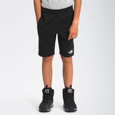 The North Face Slacker Shorts