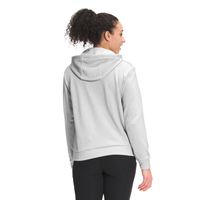 The North Face Explore LBR Pullover Hoodie