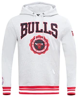 Pro Standard Mens Bulls Crest Emblem Fleece P/O Hoodie - Gray