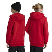 adidas Originals Boys Trefoil Essentials Lifestyle Hoodie