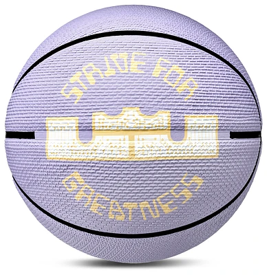 Nike Lebron Playground Basketball - Men's