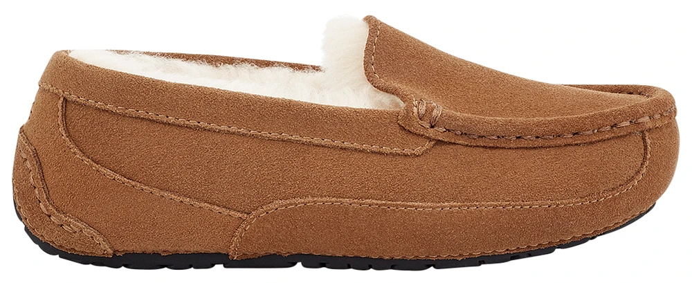 UGG Girls Ascot - Girls' Preschool Shoes Chestnut Suede