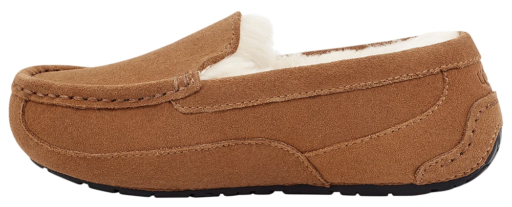 UGG Girls Ascot - Girls' Preschool Shoes Chestnut Suede