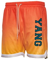 Y.A.N.G Mens Ombre Mesh Shorts - Multi/Green