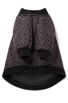 Bomber pour chien