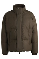 BOSS x ASTON MARTIN leather puffer jacket with wool ribbing