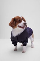 Dog bomber jacket with degradé monograms