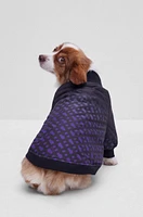 Dog bomber jacket with degradé monograms