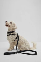 BOSS - Dog lead leather Black