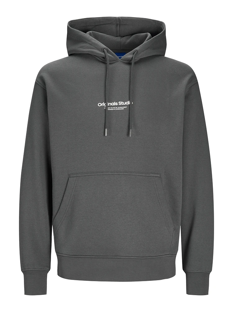 Chandail ouaté à capuchon Coupe décontractée | Jack & Jones