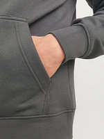 Chandail ouaté à capuchon Coupe décontractée | Jack & Jones