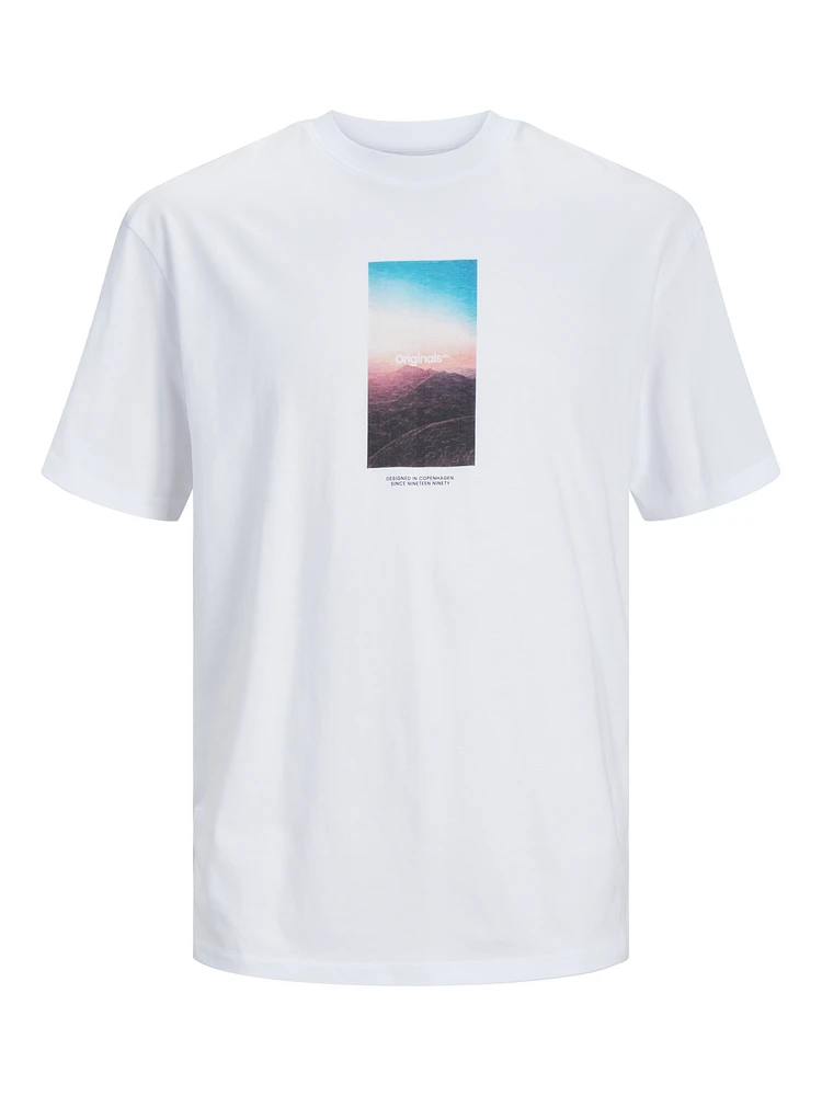 Relaxed Fit Crew neck T-Shirt | Jack & Jones