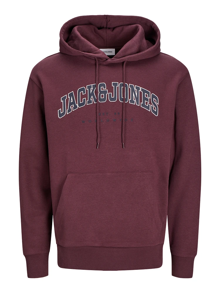 Chandail ouaté à capuchon Coupe décontractée | Jack & Jones