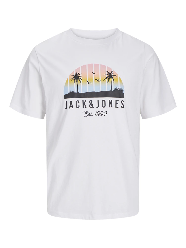 Standard Fit T-Shirt | Jack & Jones