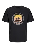 Standard Fit T-Shirt | Jack & Jones