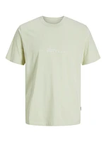 Regular Fit Crew neck T-Shirt | Jack & Jones