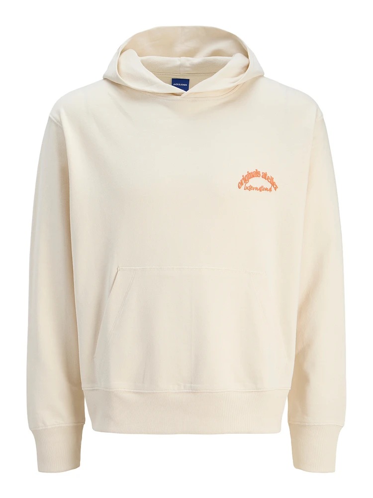 Chandail ouaté à capuchon Coupe décontractée | Jack & Jones